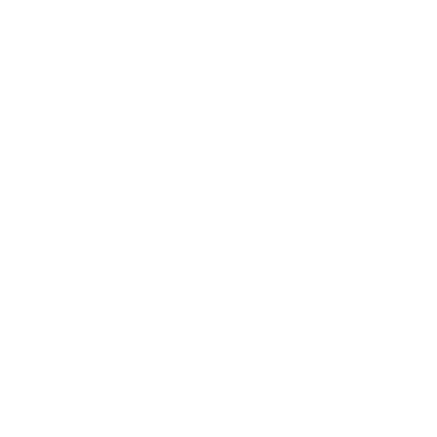 Z-Fast Racing Team