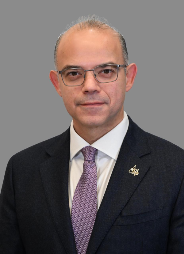 H.E. Mohamed Farid